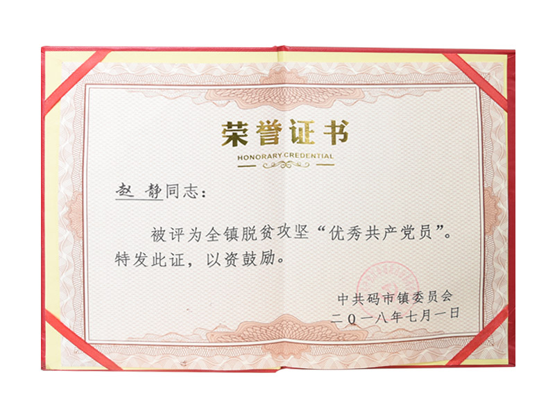 優秀共產黨員